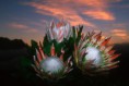 /album/galeria-de-fotos/a14-copia-jpg/
